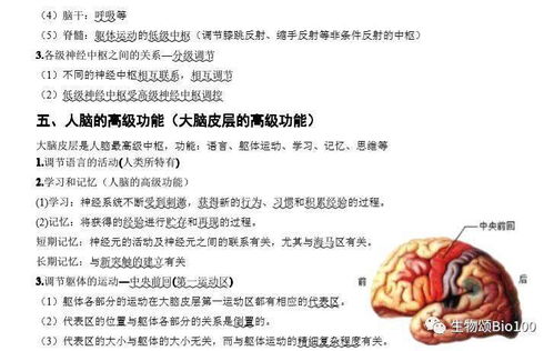 期末冲刺 高中生物必修三基础知识点汇总，考前必看