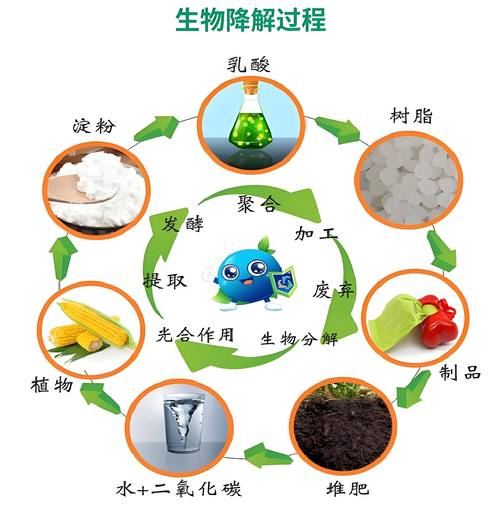 生物基材料&ne;生物降解材料:深入剖析两大环保材料的本质差异与关联